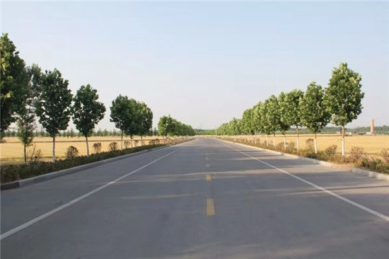 鄒城市香城鎮2020年農村道路“三年集中攻堅”專(zhuān)項行動(dòng)路網(wǎng)提檔升級工程施工
